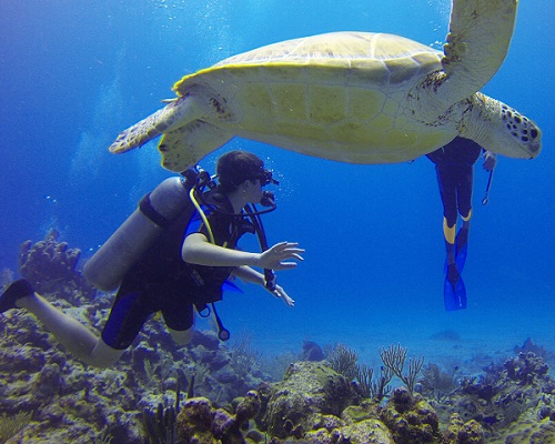 Scuba Diving