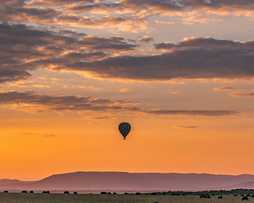 Hot Air Balloon