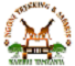 Ngoni Trekking & Safaris