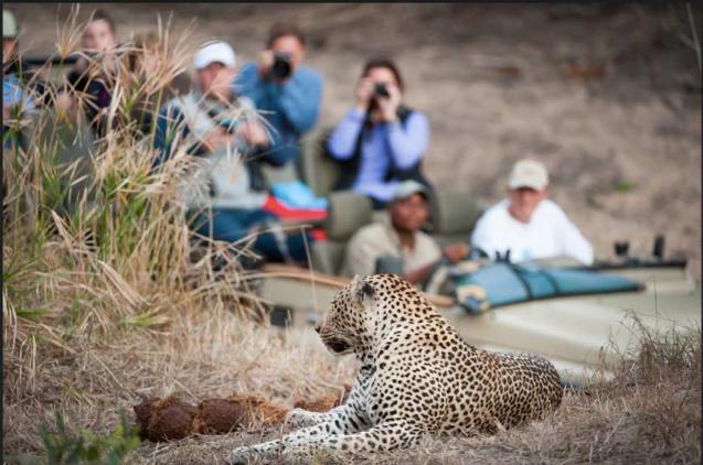 Manyara Wildlife