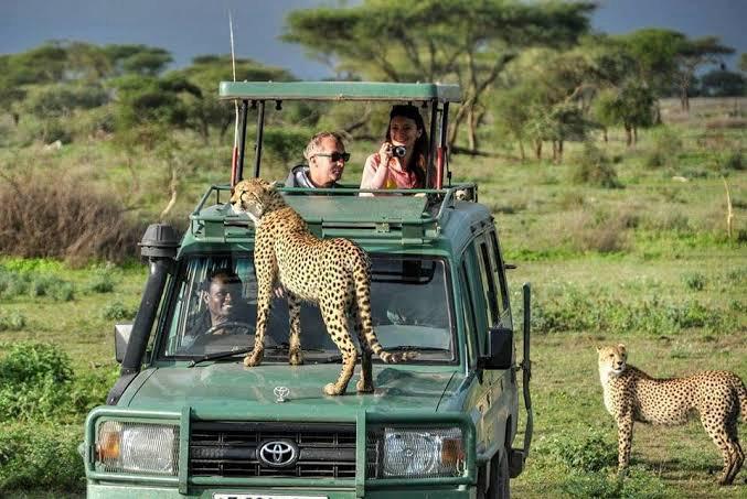 Manyara Views