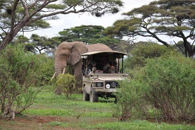 Manyara Experience
