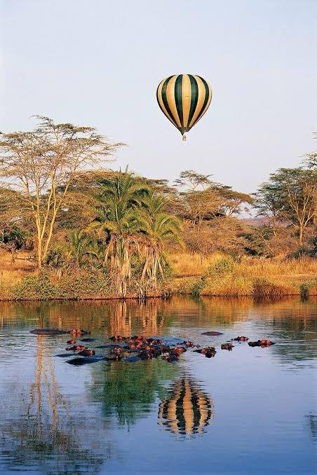 Manyara Adventure